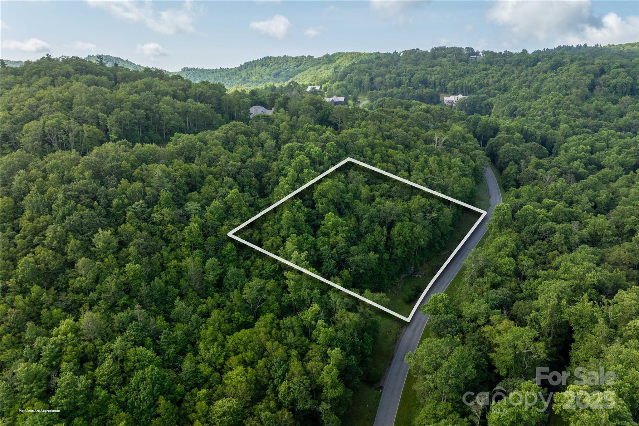 Tbd Lot 107 Firethorn Trail Blowing Rock NC 28605