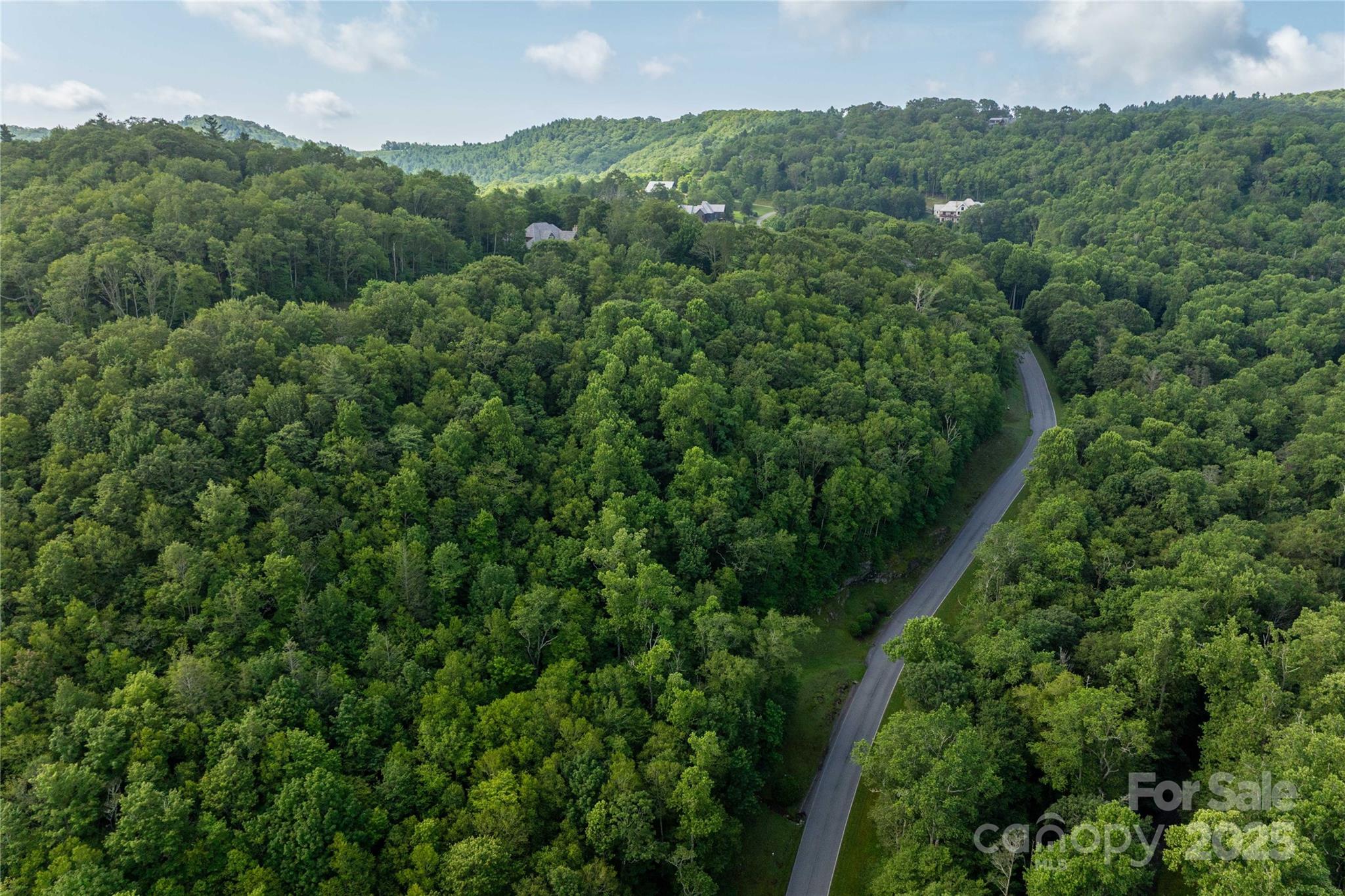 Tbd Lot 107 Firethorn Trail Blowing Rock NC 28605