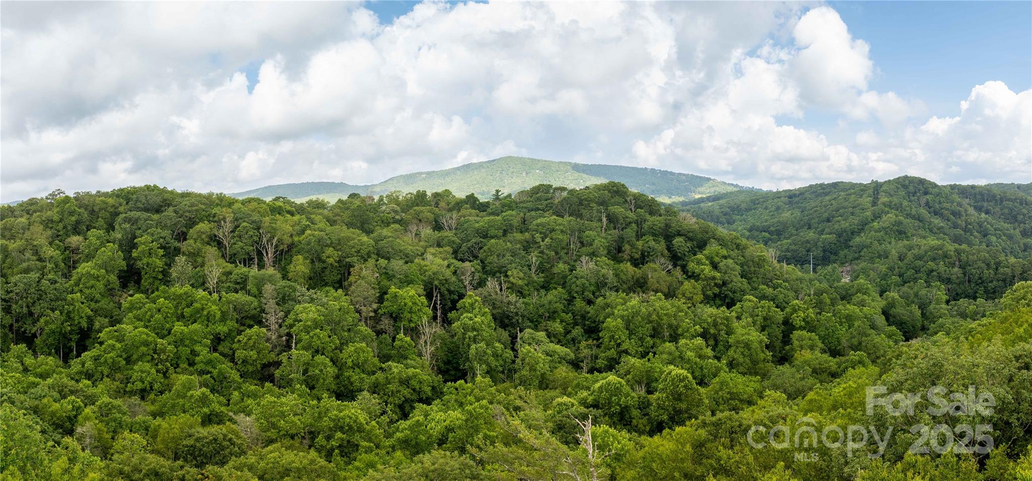 Tbd Lot 107 Firethorn Trail Blowing Rock NC 28605