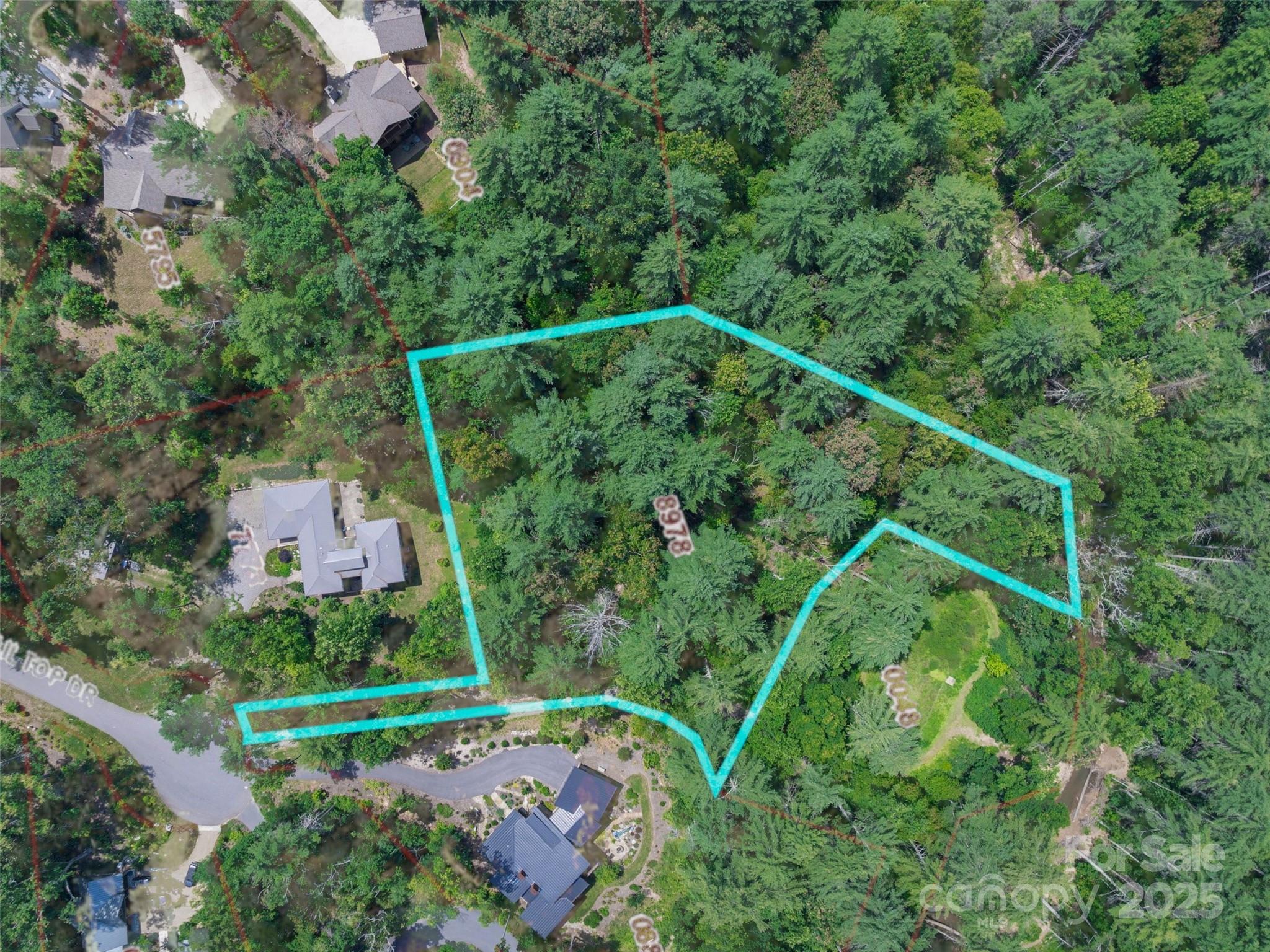 52 Trail Top Drive Asheville NC 28805