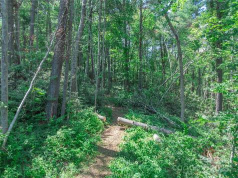 52 Trail Top Drive Asheville NC 28805