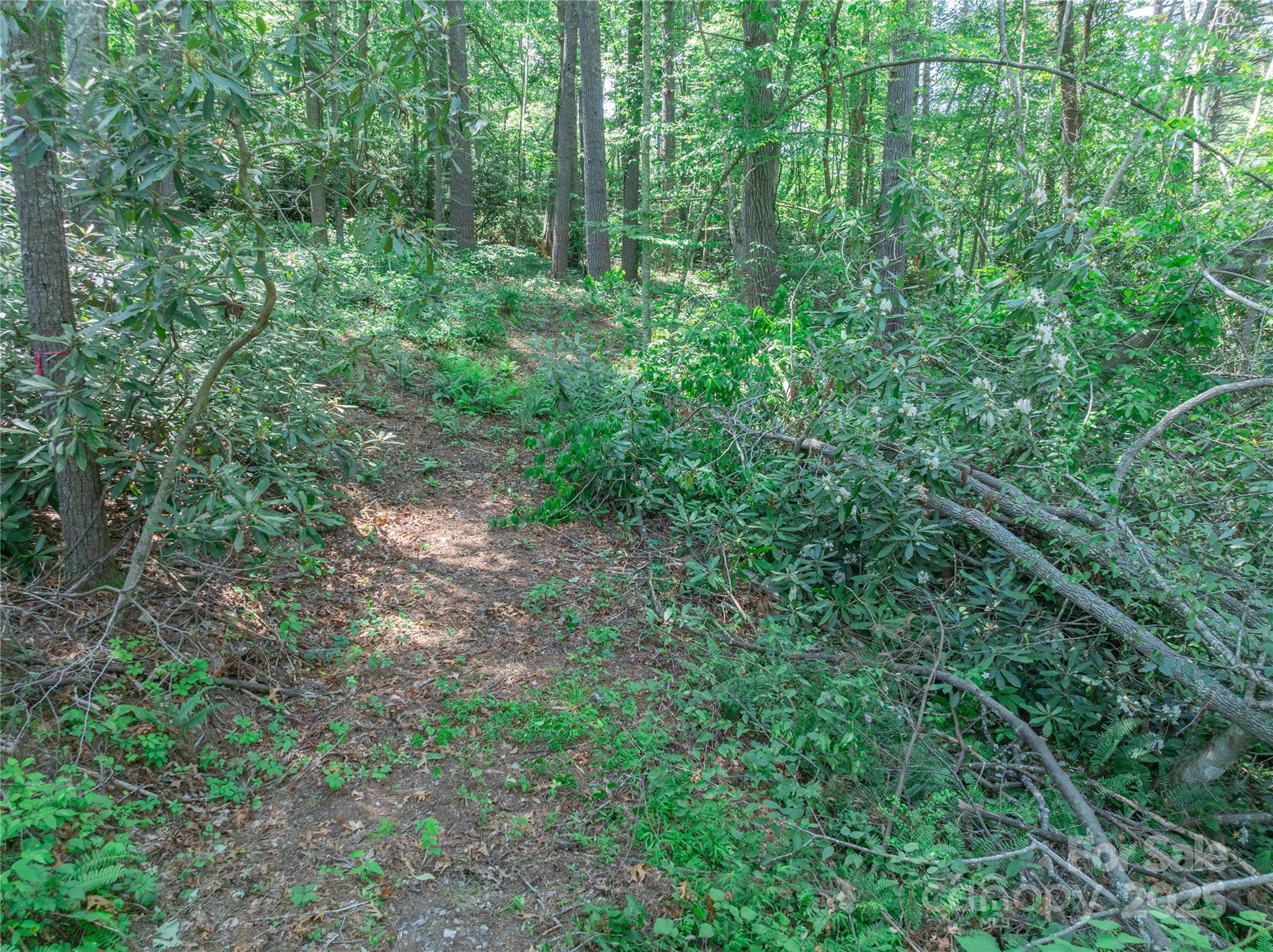 52 Trail Top Drive Asheville NC 28805