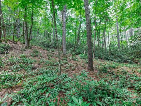 52 Trail Top Drive Asheville NC 28805
