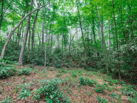 52 Trail Top Drive Asheville NC 28805