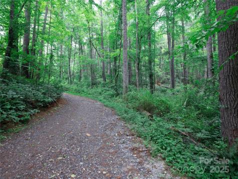 52 Trail Top Drive Asheville NC 28805