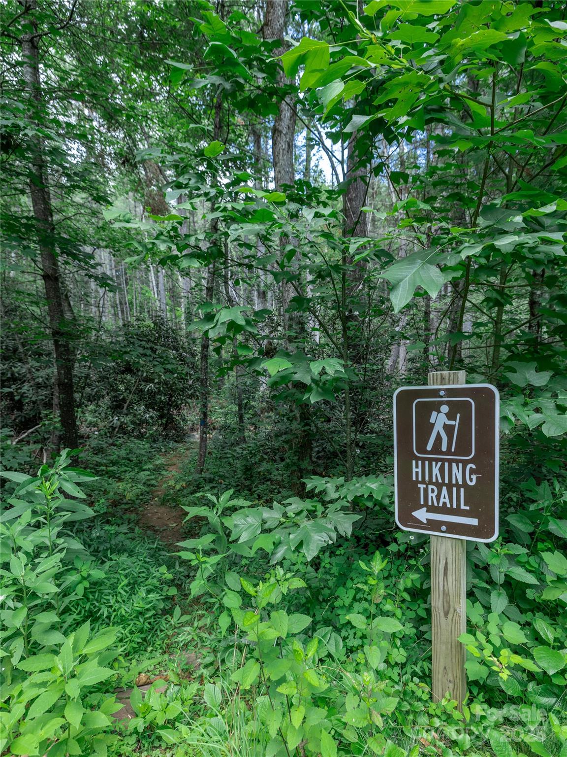 52 Trail Top Drive Asheville NC 28805