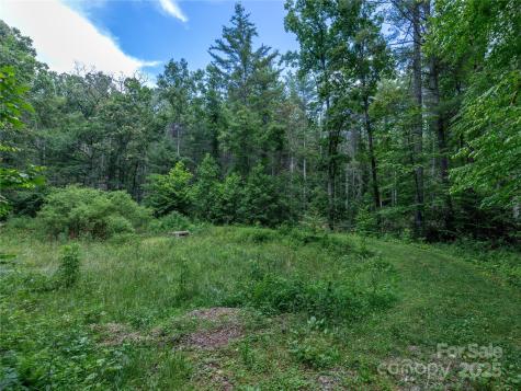 52 Trail Top Drive Asheville NC 28805