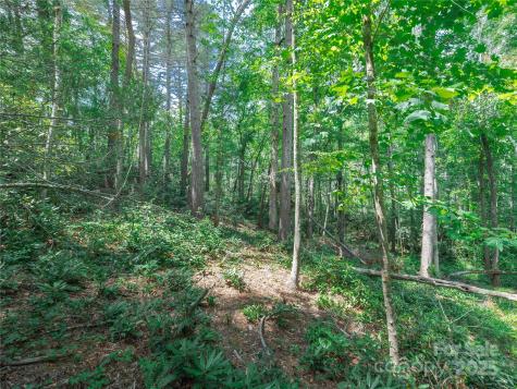 52 Trail Top Drive Asheville NC 28805