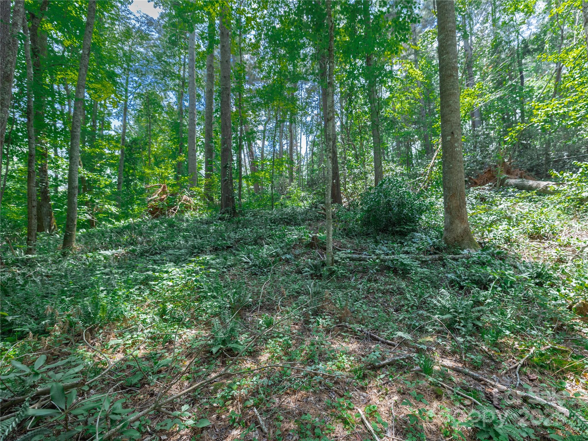 52 Trail Top Drive Asheville NC 28805