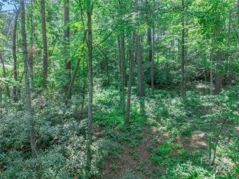 52 Trail Top Drive Asheville NC 28805
