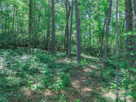52 Trail Top Drive Asheville NC 28805