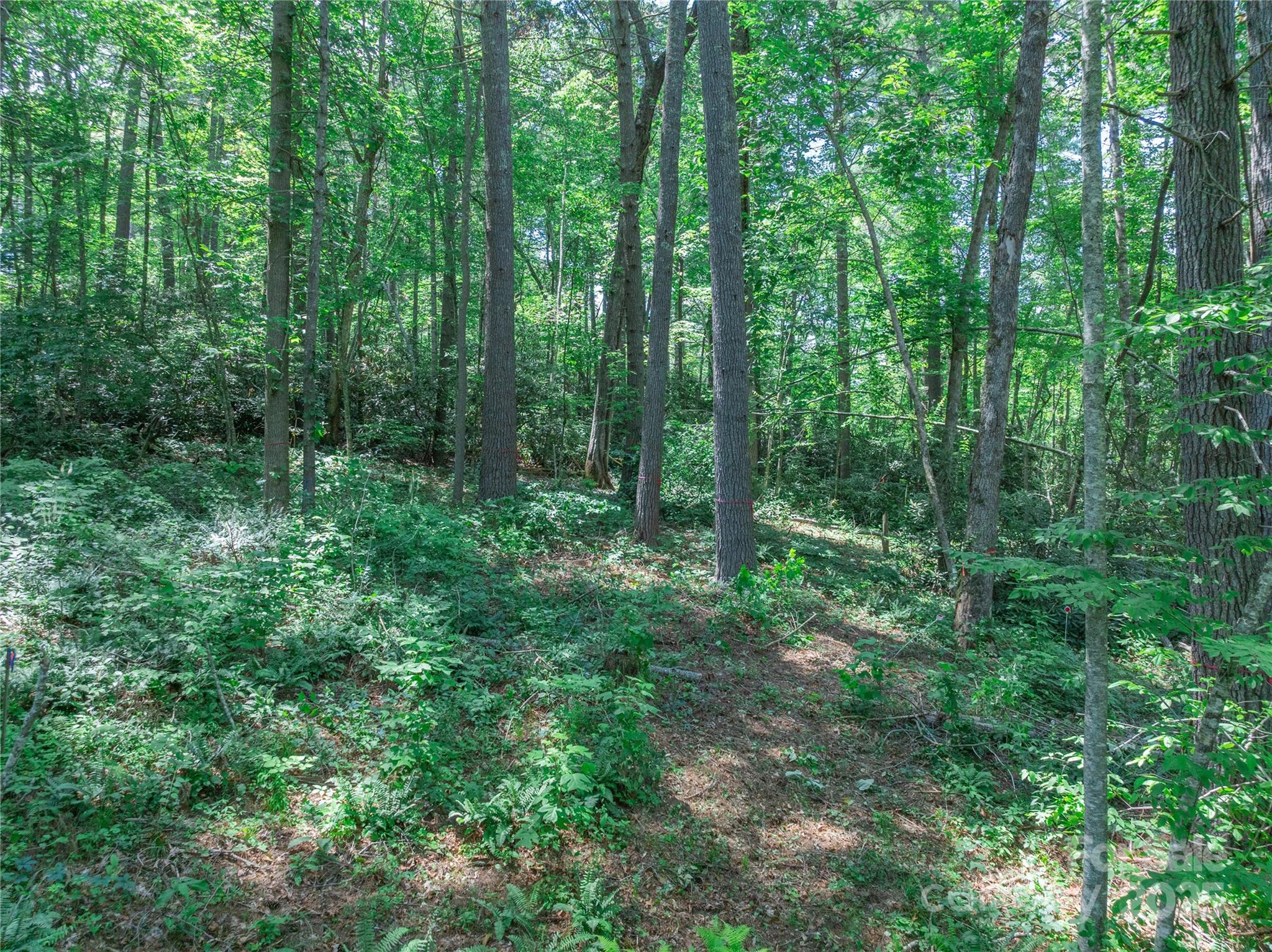 52 Trail Top Drive Asheville NC 28805