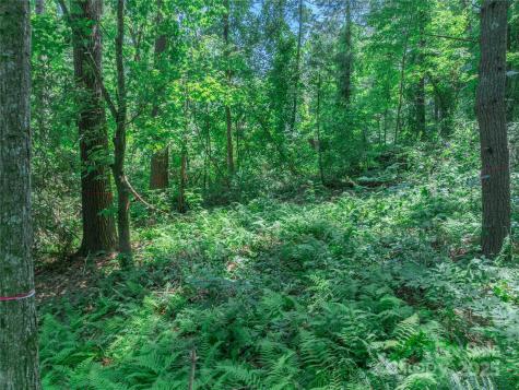 52 Trail Top Drive Asheville NC 28805