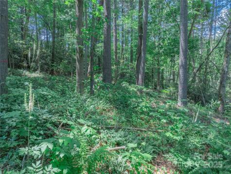 52 Trail Top Drive Asheville NC 28805