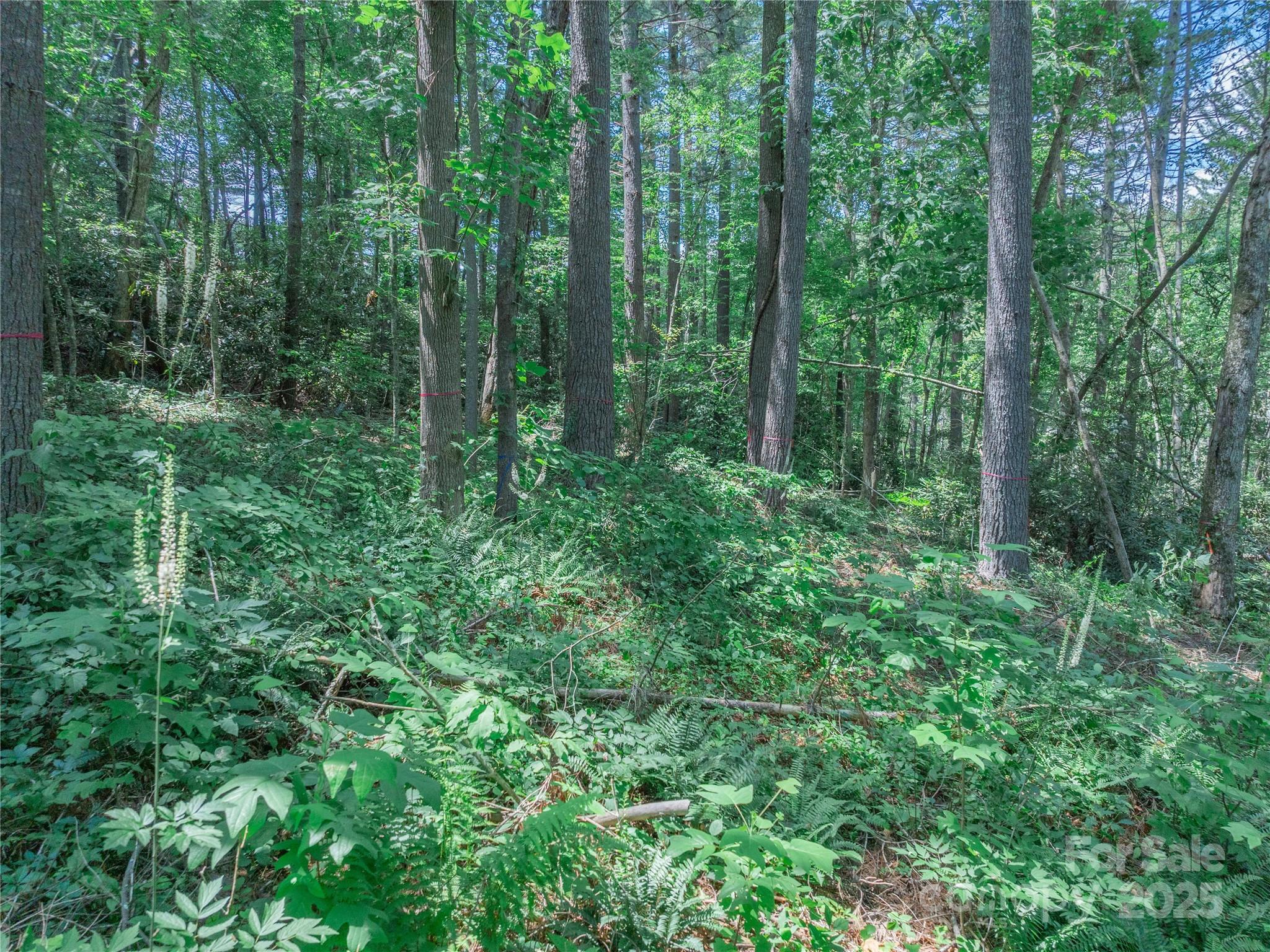 52 Trail Top Drive Asheville NC 28805