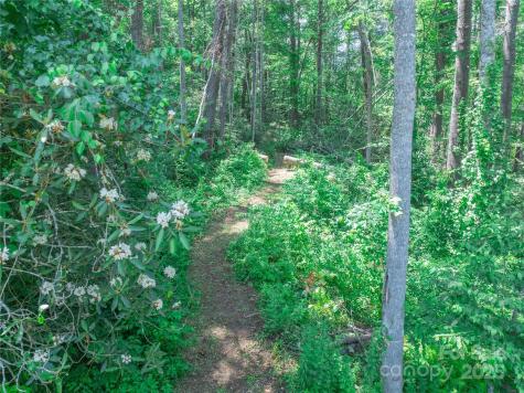 52 Trail Top Drive Asheville NC 28805