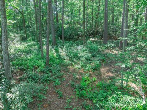52 Trail Top Drive Asheville NC 28805