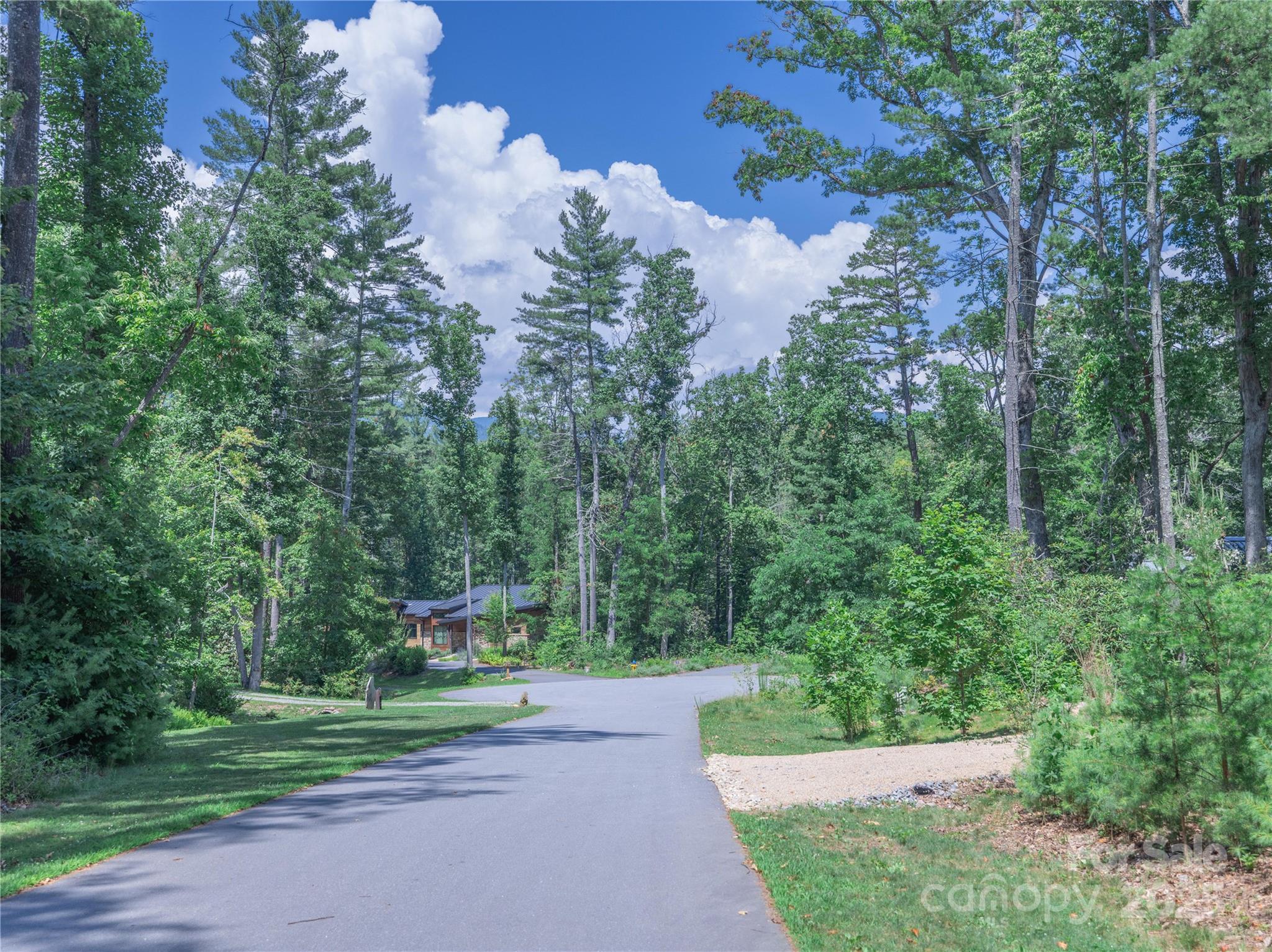 52 Trail Top Drive Asheville NC 28805