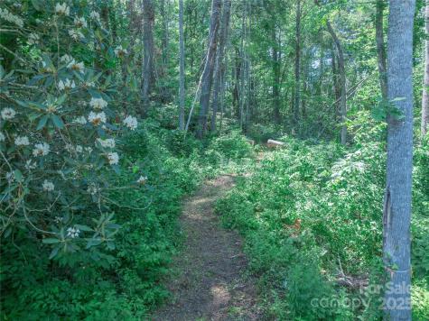 52 Trail Top Drive Asheville NC 28805