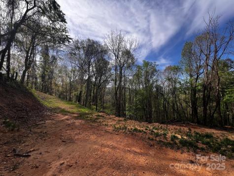 0 Little Creek Drive Canton NC 28716