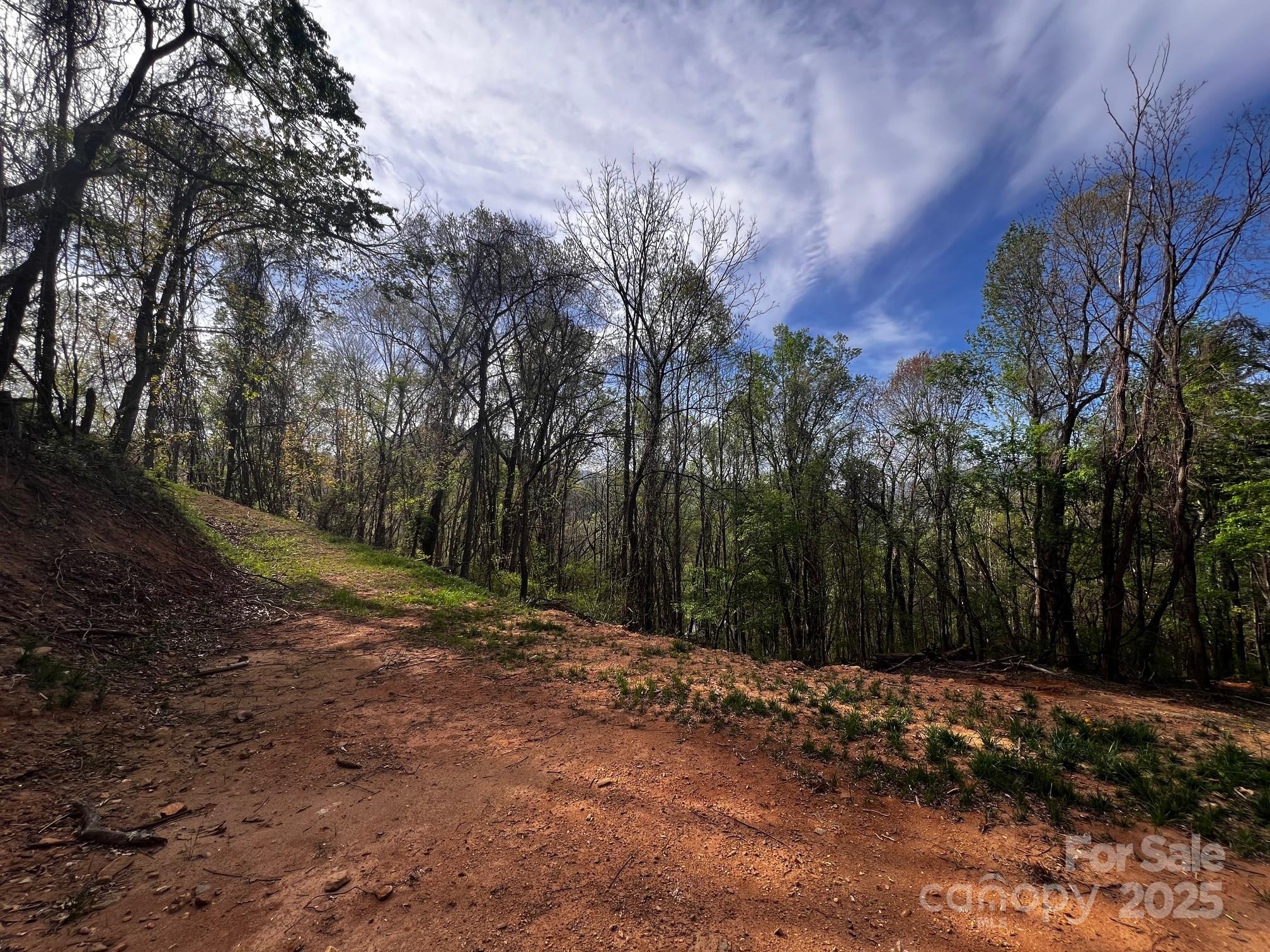 0 Little Creek Drive Canton NC 28716