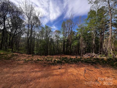 0 Little Creek Drive Canton NC 28716