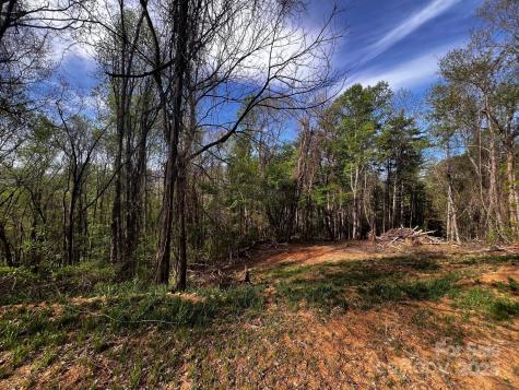 0 Little Creek Drive Canton NC 28716