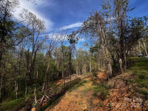 0 Little Creek Drive Canton NC 28716
