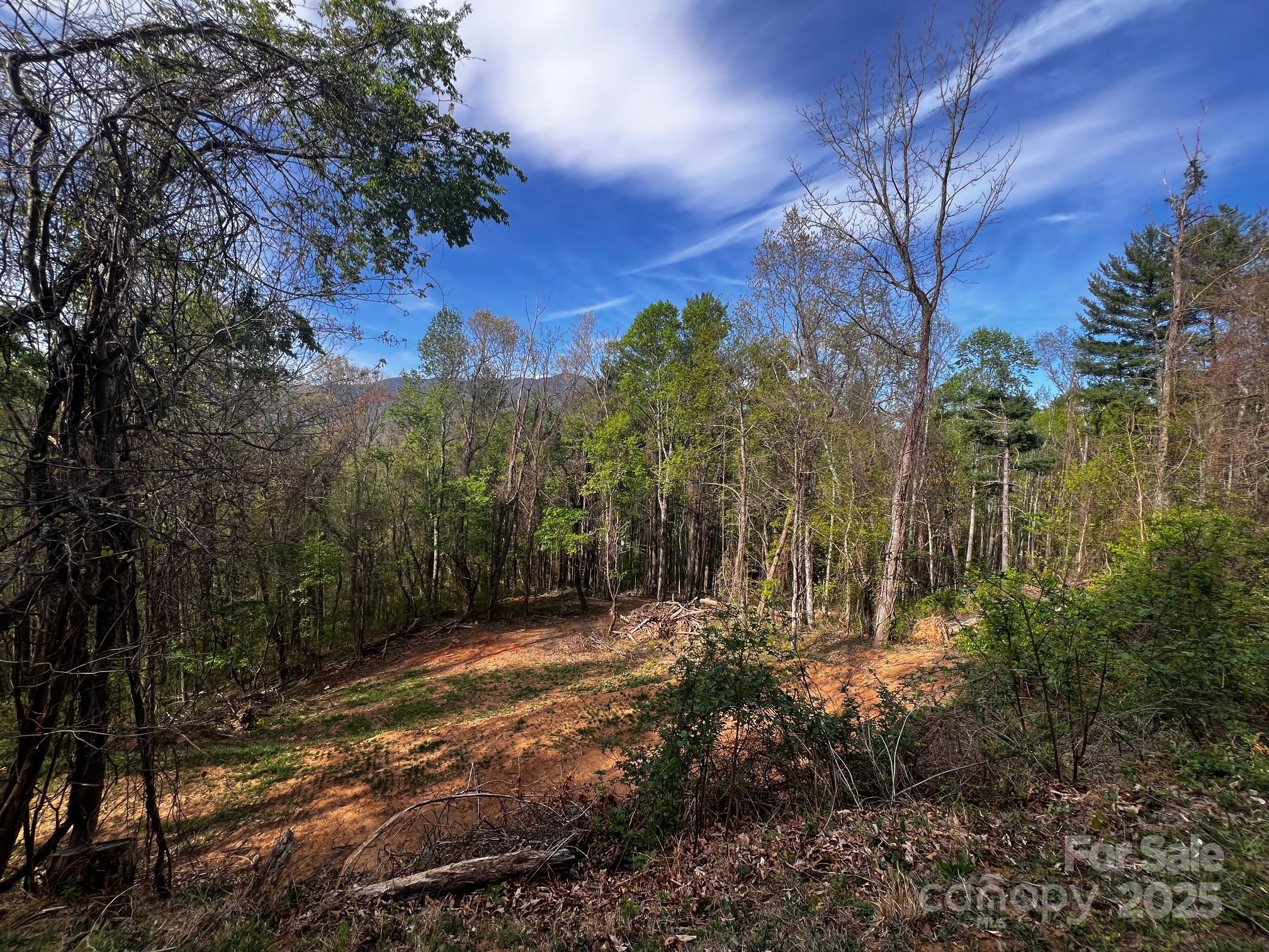 0 Little Creek Drive Canton NC 28716