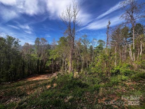 0 Little Creek Drive Canton NC 28716