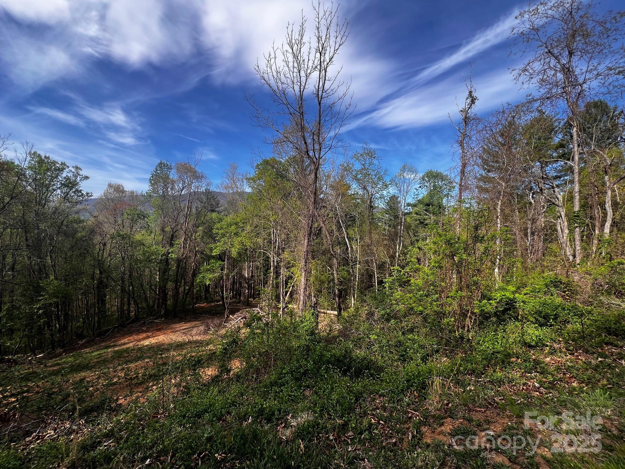 0 Little Creek Drive Canton NC 28716