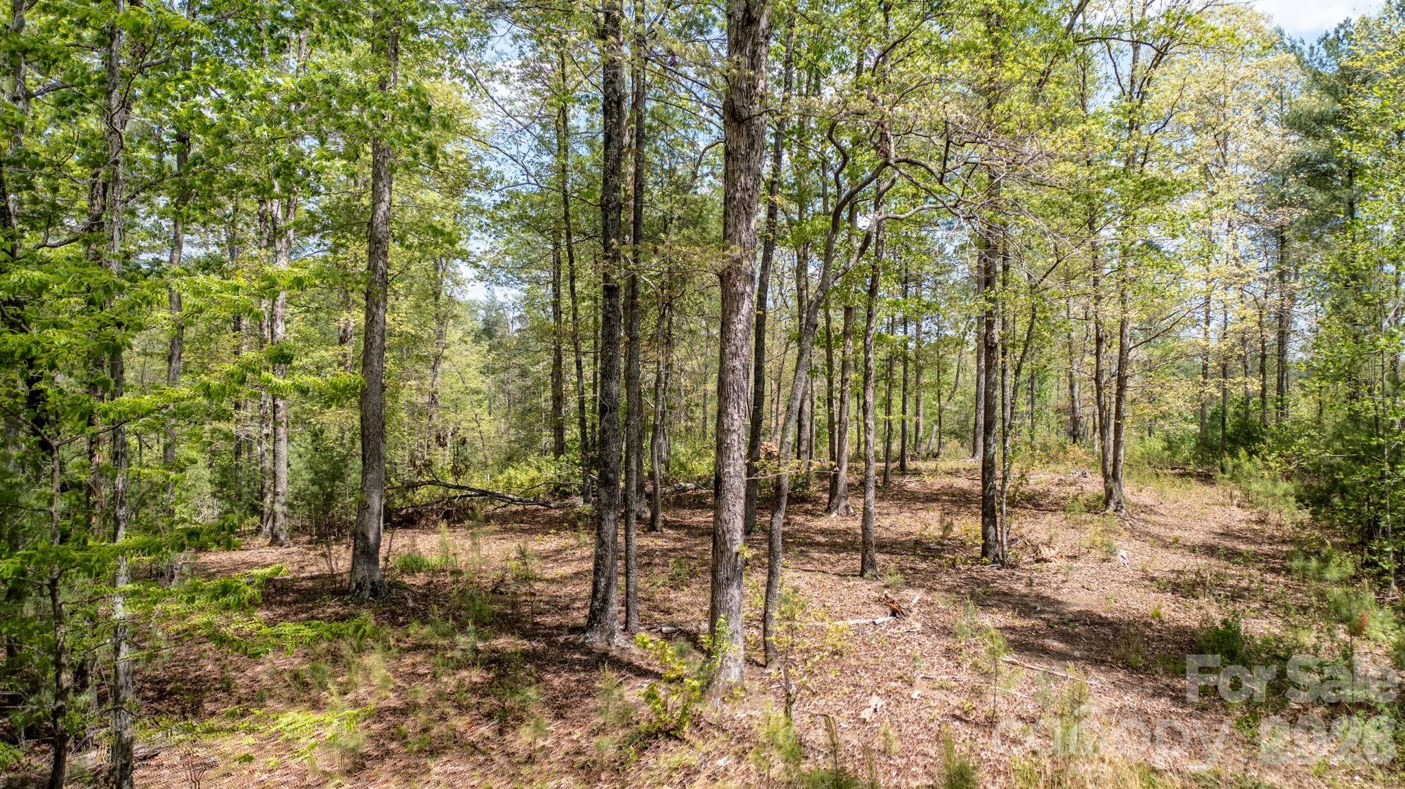 00 Scenic Lane Granite Falls NC 28630