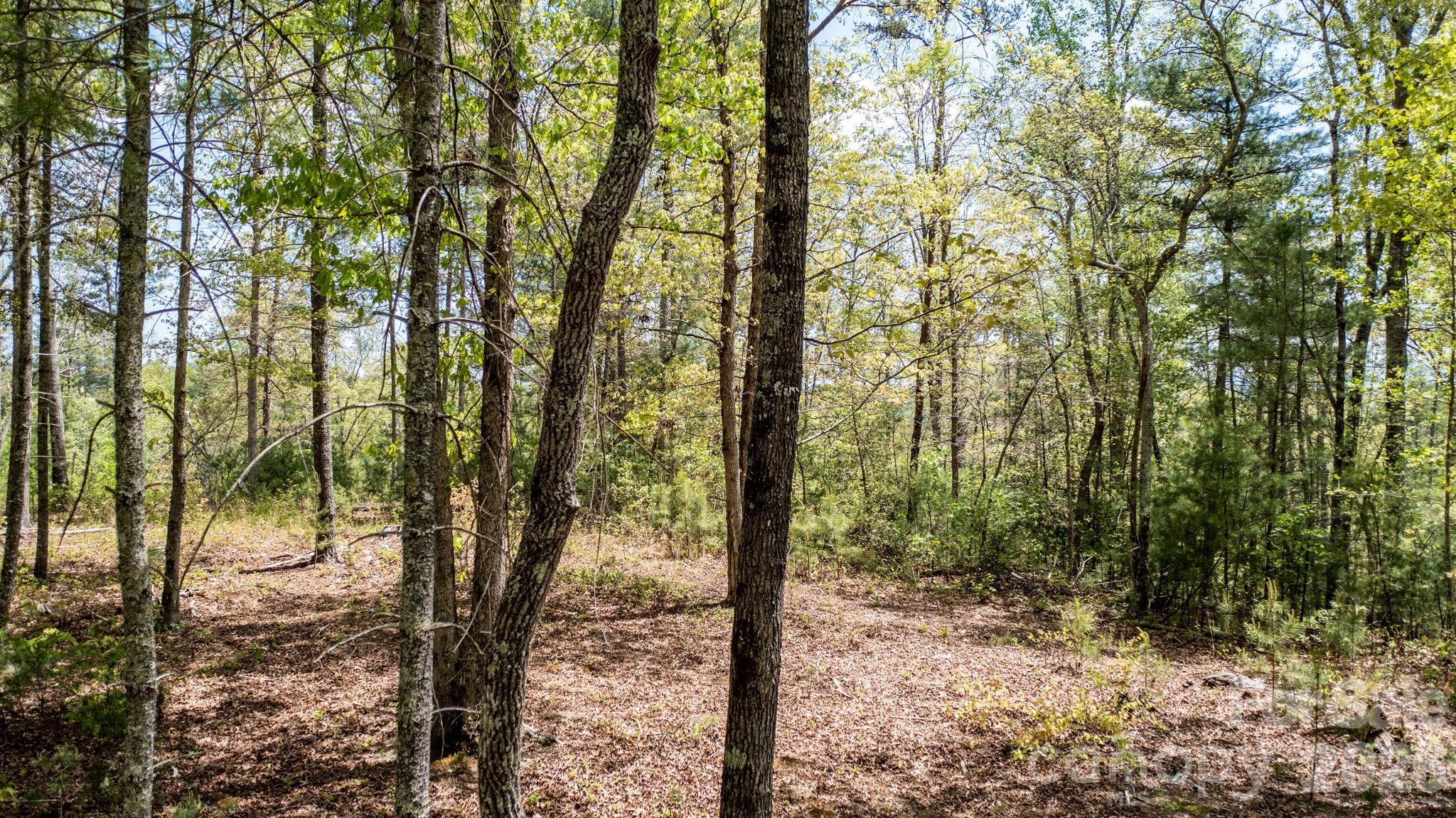 00 Scenic Lane Granite Falls NC 28630