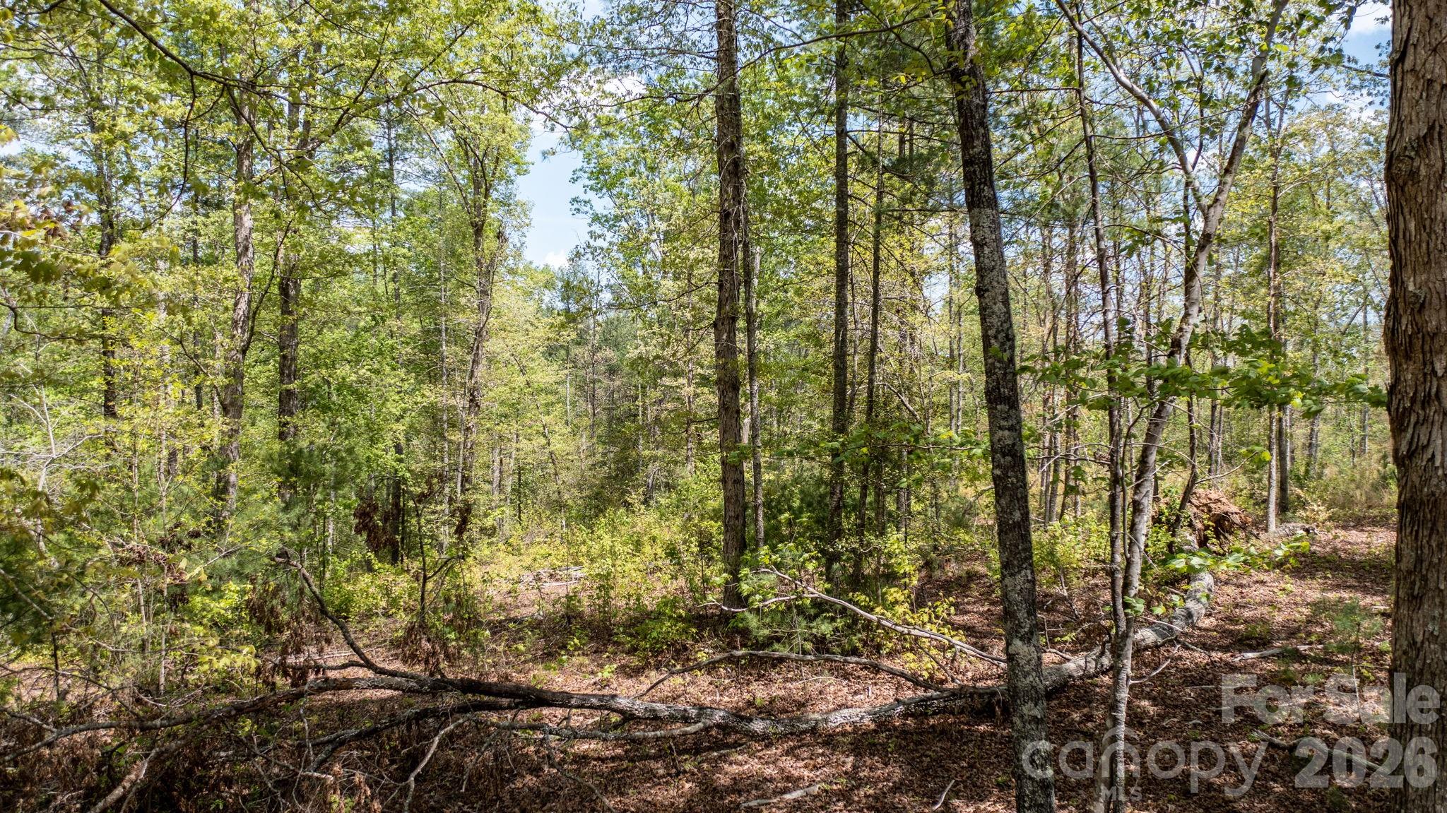 00 Scenic Lane Granite Falls NC 28630