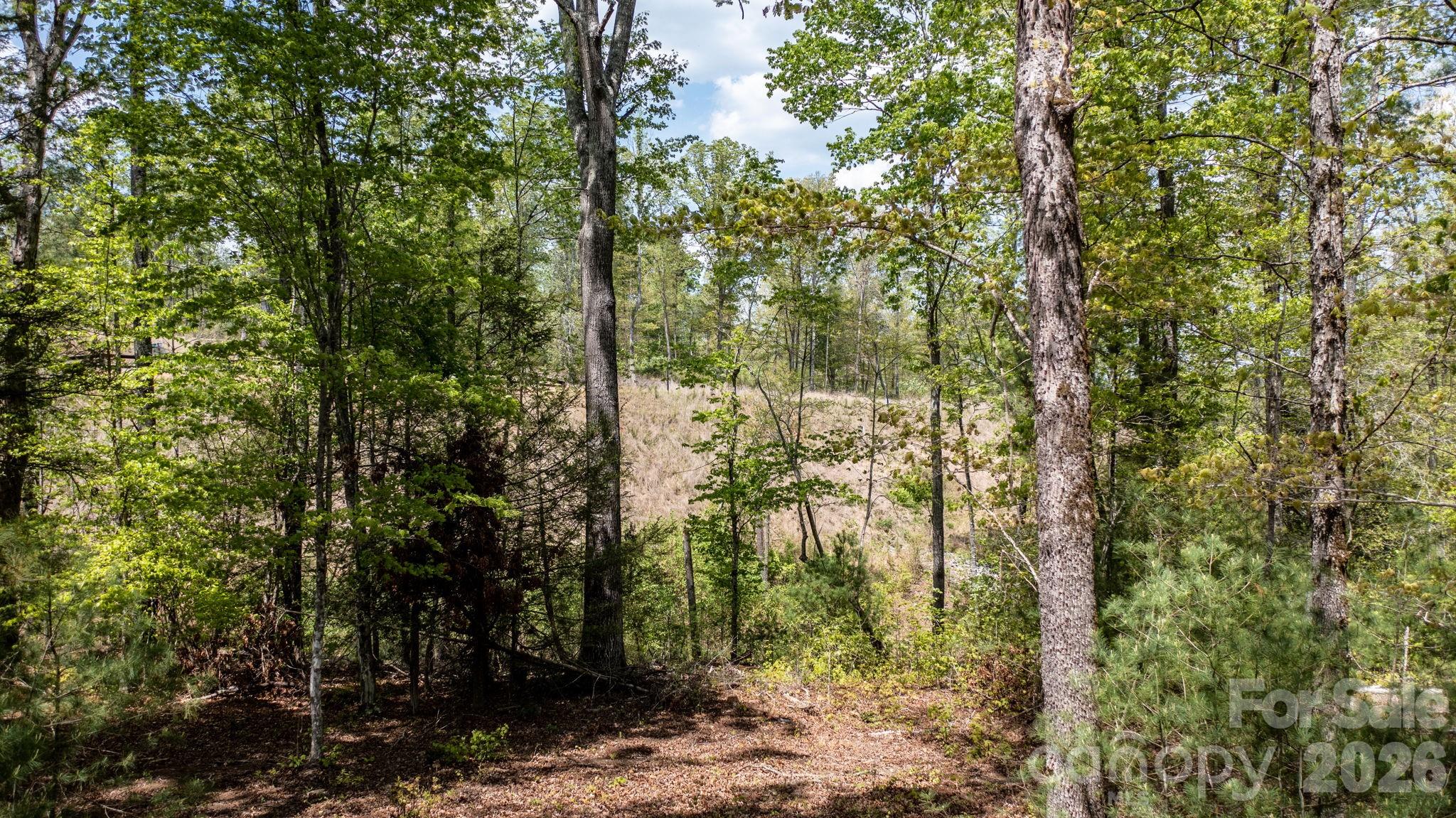 00 Scenic Lane Granite Falls NC 28630