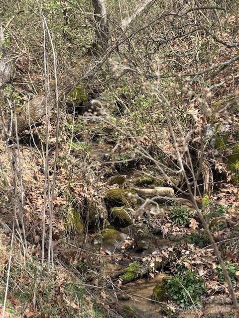 25 Green Meadow Lane Mars Hill NC 28754