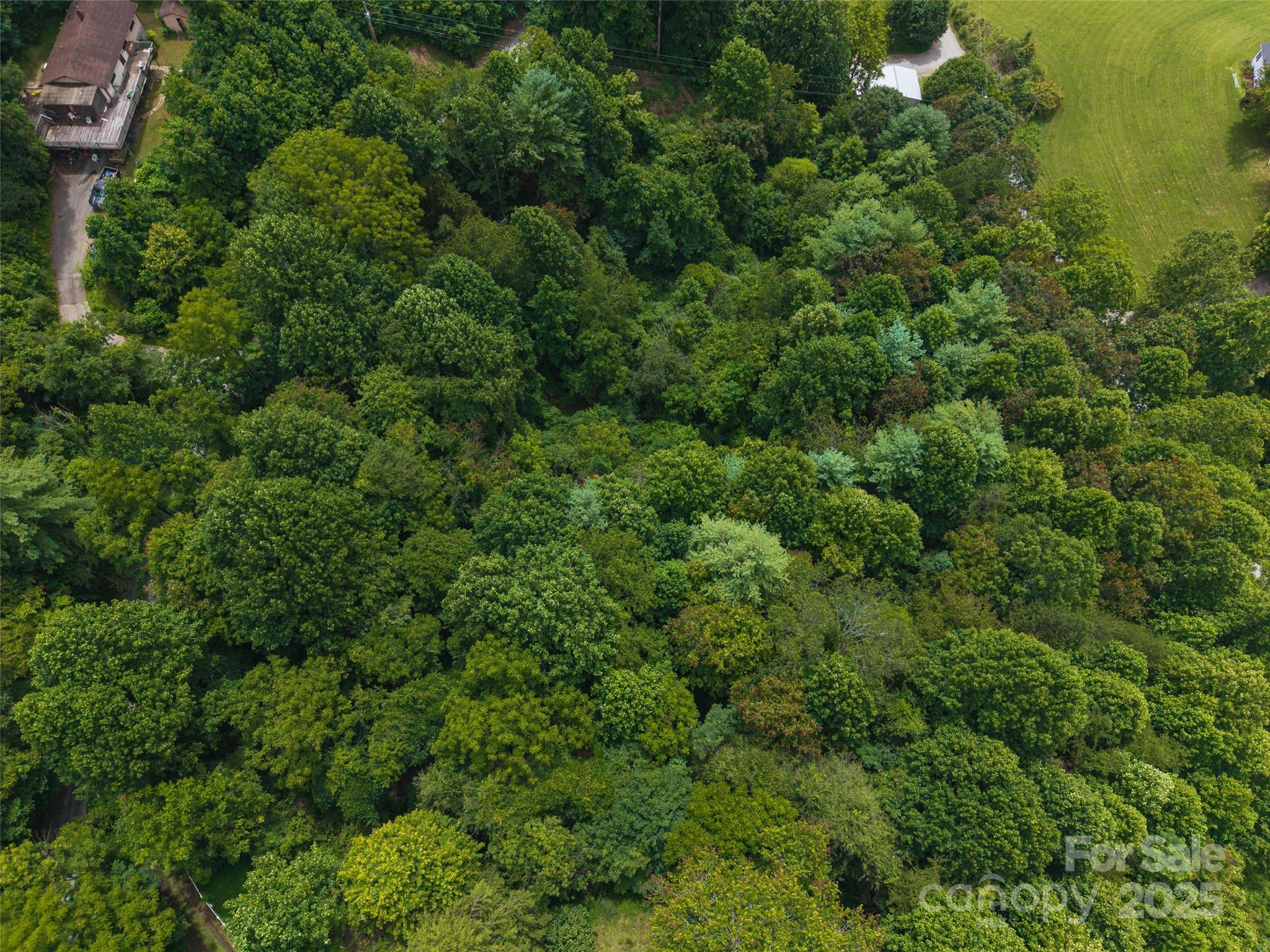 25 Green Meadow Lane Mars Hill NC 28754