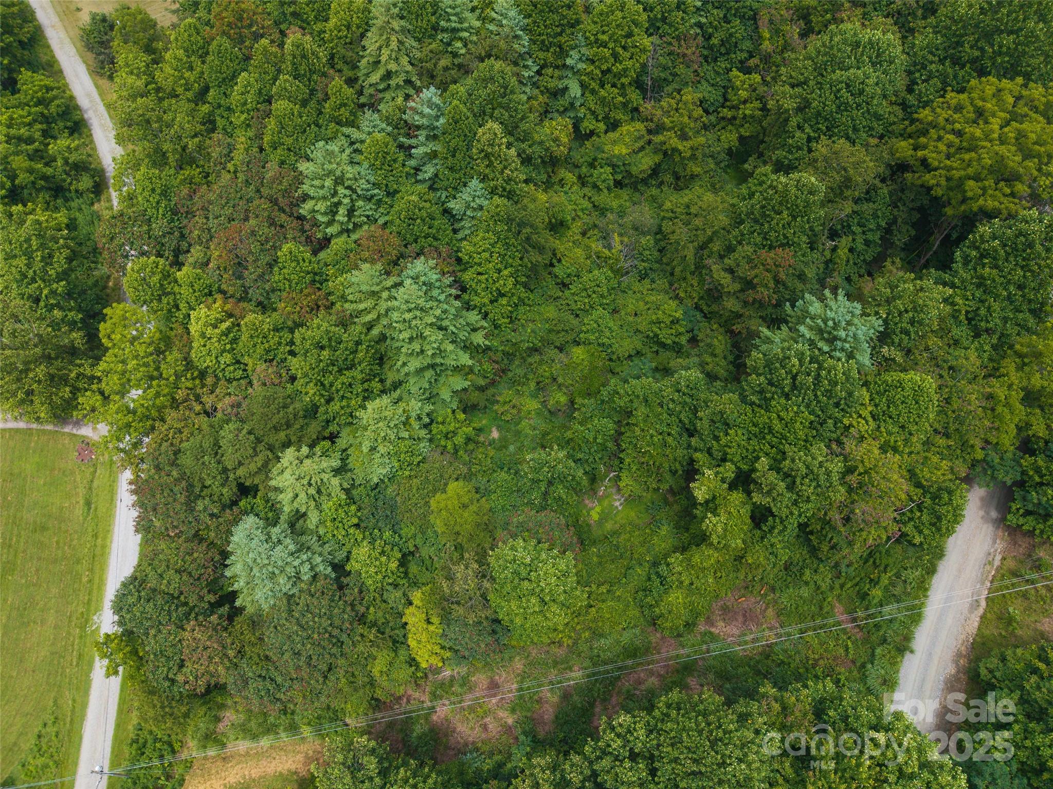 25 Green Meadow Lane Mars Hill NC 28754