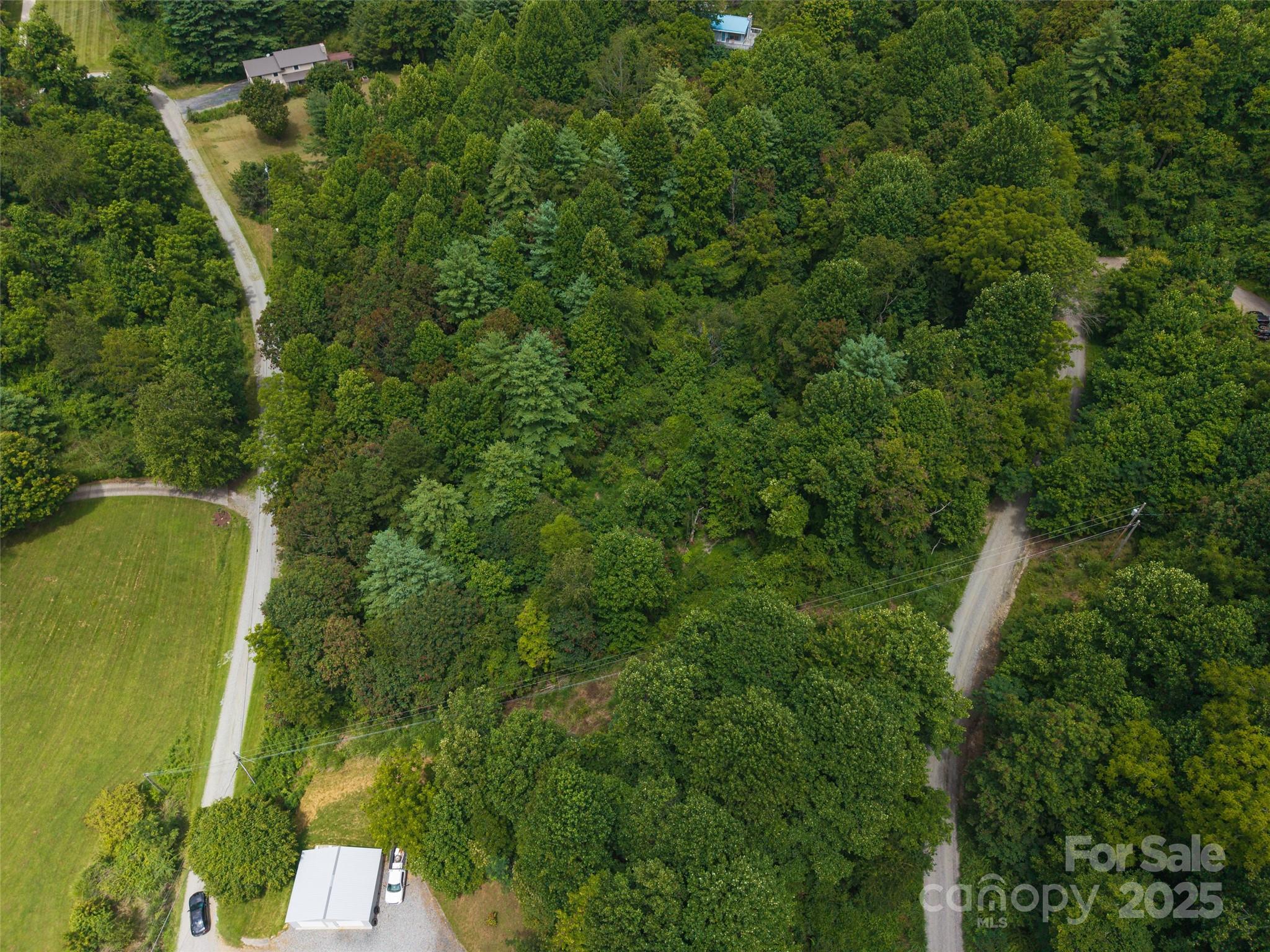 25 Green Meadow Lane Mars Hill NC 28754