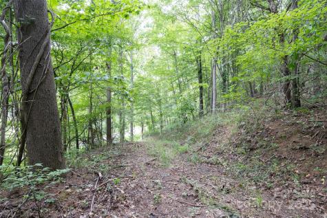 25 Green Meadow Lane Mars Hill NC 28754