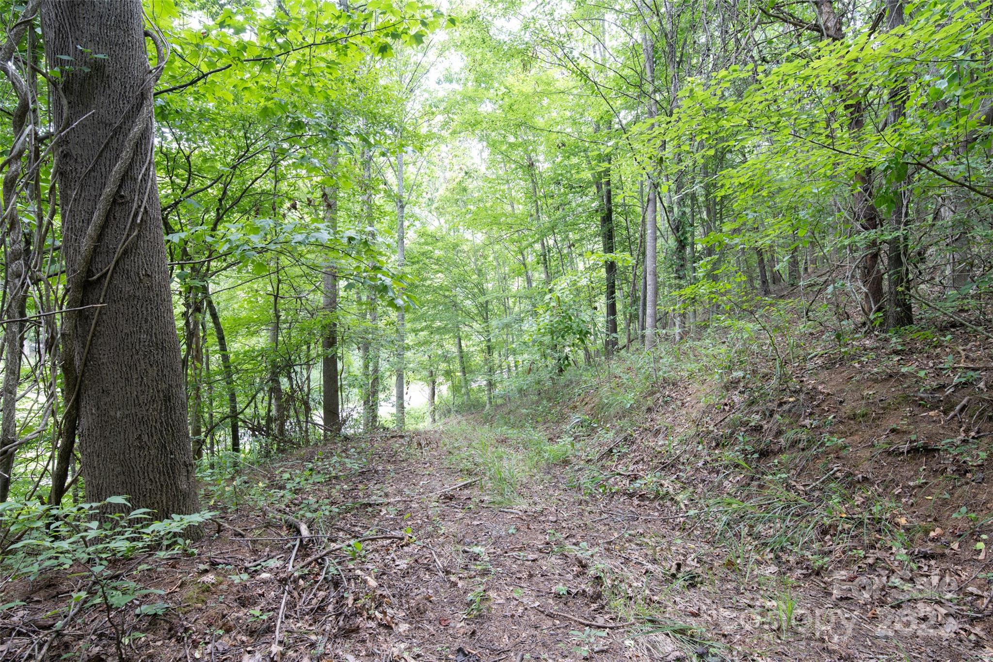 25 Green Meadow Lane Mars Hill NC 28754