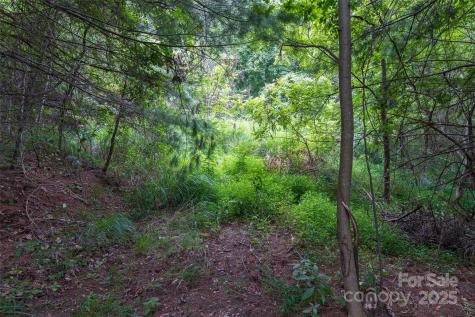 25 Green Meadow Lane Mars Hill NC 28754