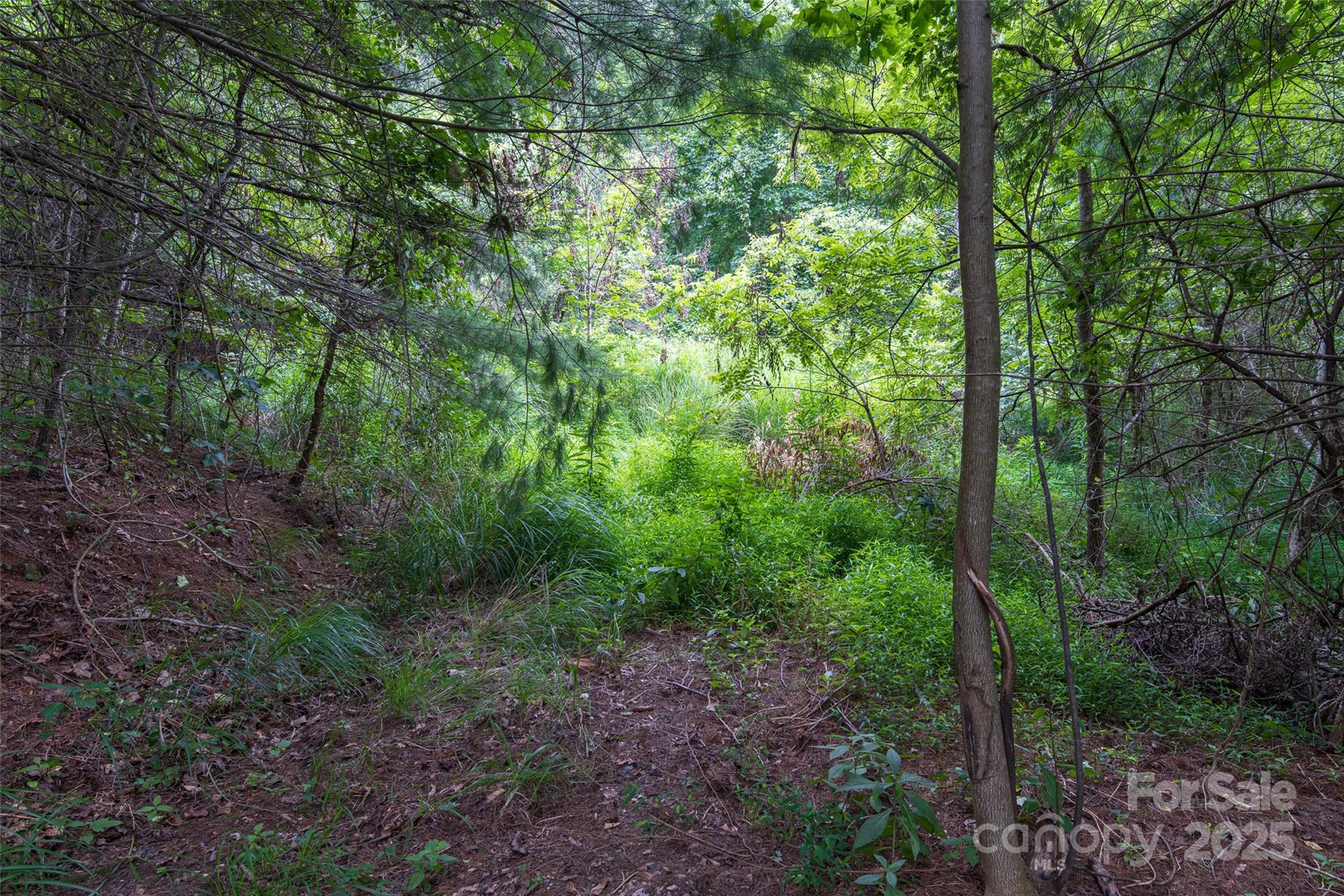 25 Green Meadow Lane Mars Hill NC 28754
