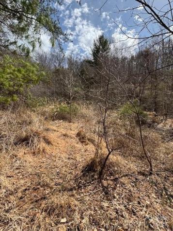 25 Green Meadow Lane Mars Hill NC 28754