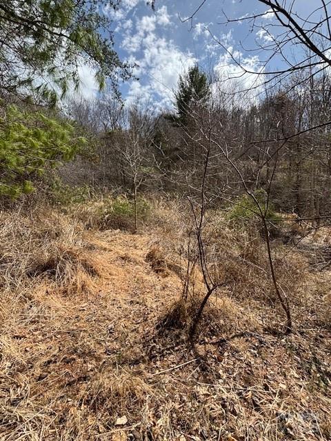 25 Green Meadow Lane Mars Hill NC 28754