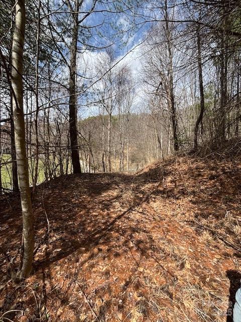25 Green Meadow Lane Mars Hill NC 28754