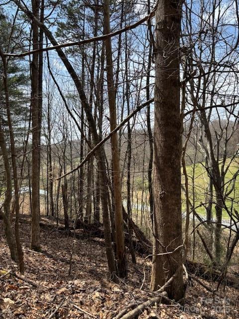 25 Green Meadow Lane Mars Hill NC 28754