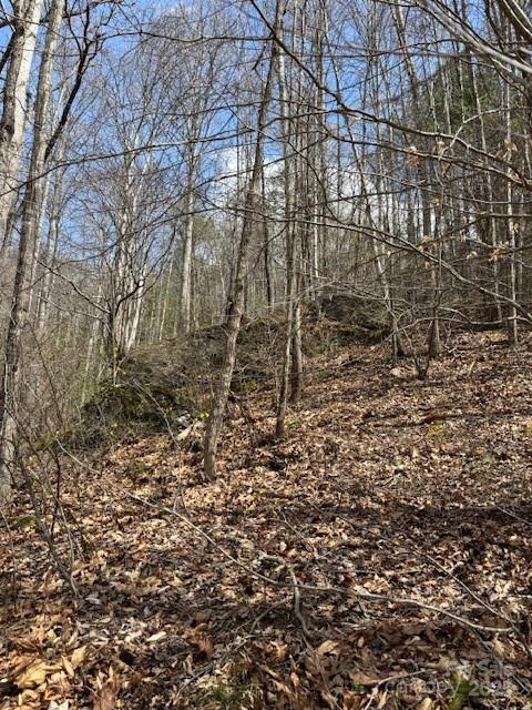 25 Green Meadow Lane Mars Hill NC 28754