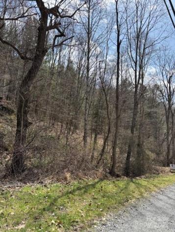 25 Green Meadow Lane Mars Hill NC 28754