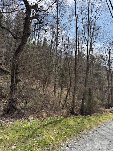 25 Green Meadow Lane Mars Hill NC 28754